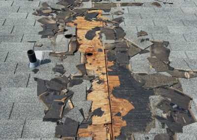 How-Did-the-Raccoon-Get-Into-My-Attic