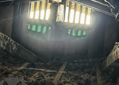 Why-Are-Critters-Attracted-to-Attics