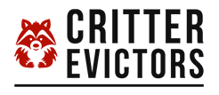 Critter-Evictors-Animal-Wildlife-Removal-Services-in-Scottsdale-AZ
