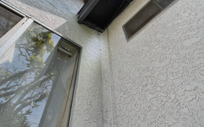 Are Rats Competent Climbers?