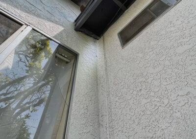 Are-Rats-Competent-Climbers