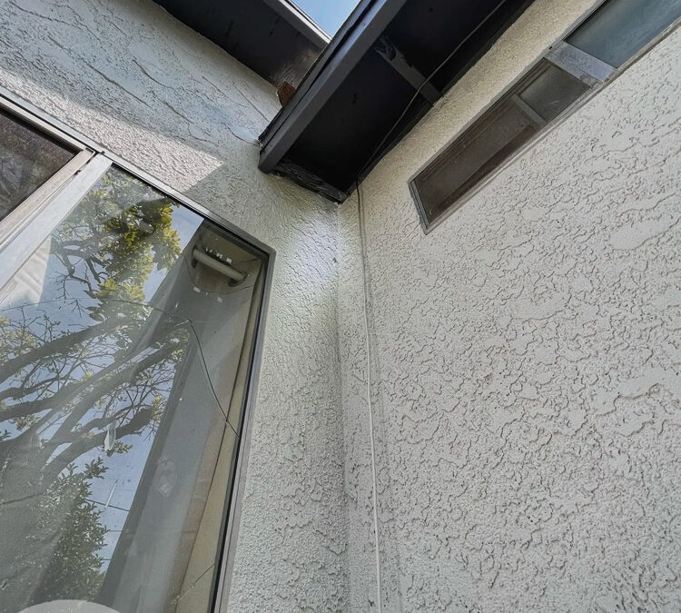 Are Rats Competent Climbers?