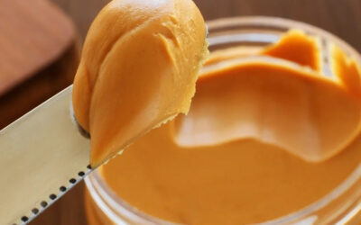 Are Rats Picky Eaters?