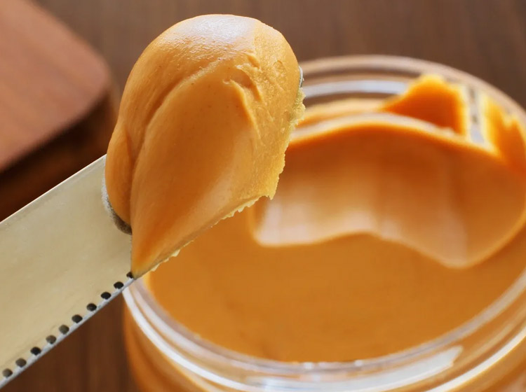 Are Rats Picky Eaters?