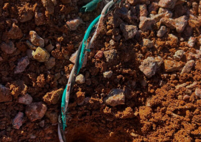 Are-Rodents-Attracted-to-Chewing-Electrical-Wires