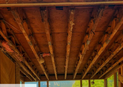 Can-Construction-Increase-Critter-Activity