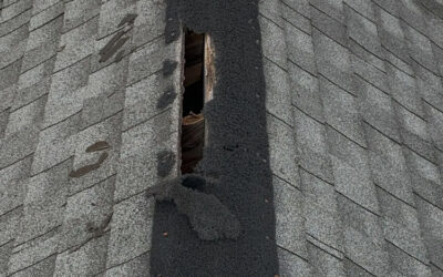 Can Critters Access My House Through My Roofing Ventilation