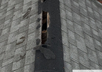 Can-Critters-Access-My-House-Through-My-Roofing-Ventilation