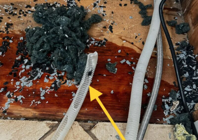 Can-Rats-Cause-Kitchen-Appliances-To-Fail