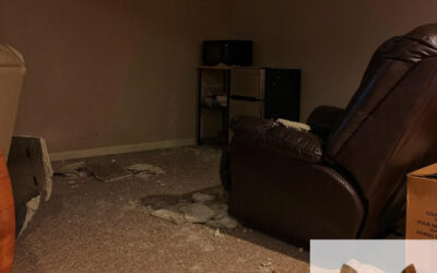 Can We Just Leave the Critters up There?