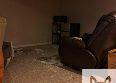 Can-We-Just-Leave-the-Critters-up-There