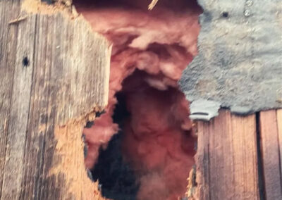 Can-We-Patch-the-Hole-Without-First-Removing-the-Critter