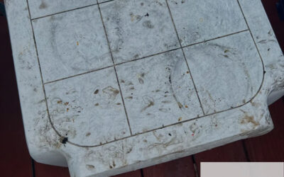 Changing Familiar Structures To Discourage Raccoon Activity