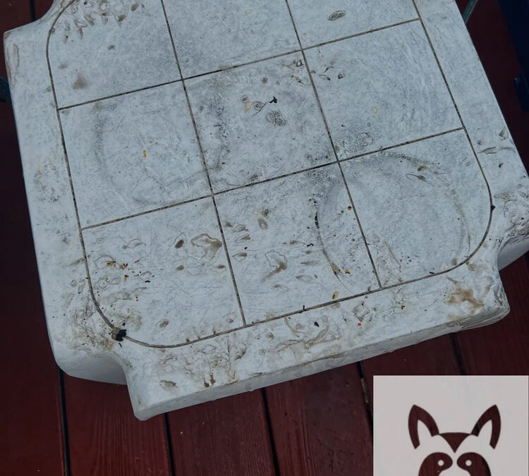 Changing Familiar Structures To Discourage Raccoon Activity