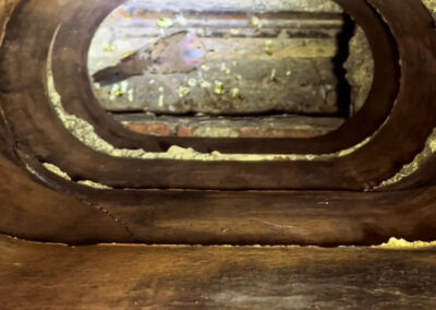 Critter-in-the-Chimney