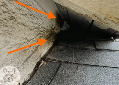 Explained-Dark-Stains-Around-Critter-Entry-Points