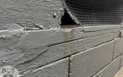 Failing Vent Covers- Critters in the Crawl Space