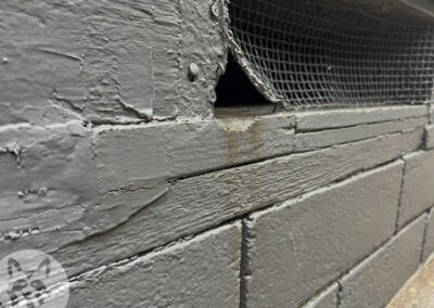 Failing-Vent-Covers-Critters-in-the-Crawl-Space