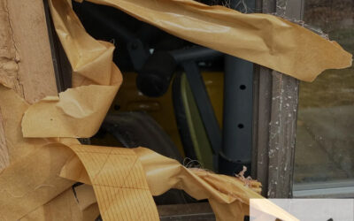 Home Inspections- Old or Active Critter Activity