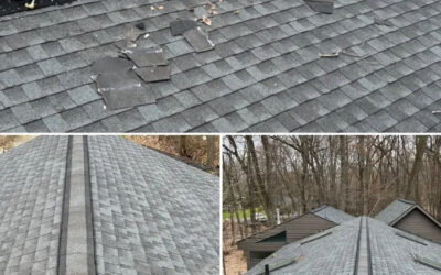 How To Exclude Critters From Your Roofs Ridge Vent