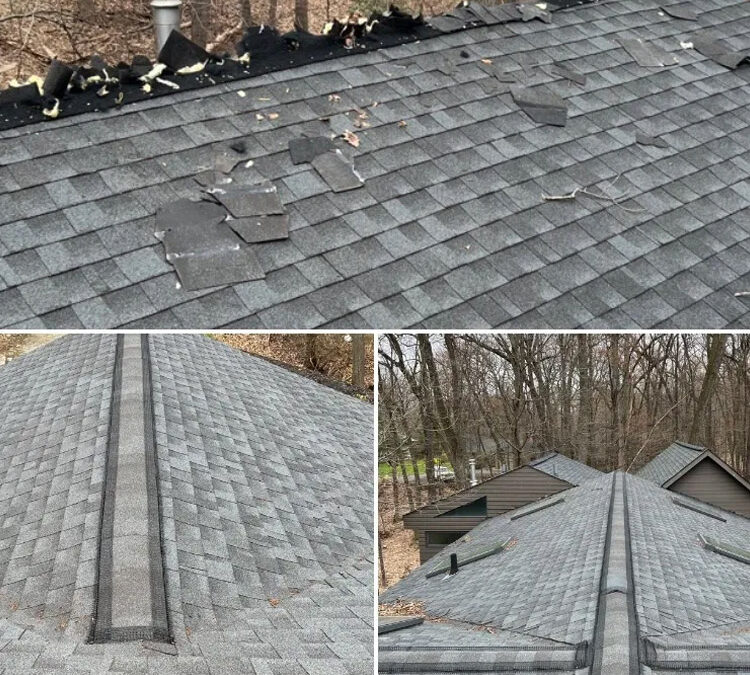 How To Exclude Critters From Your Roofs Ridge Vent