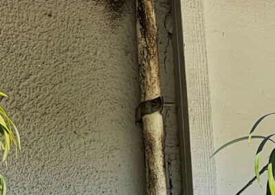 How-To-Locate-Rat-Entrance-Points