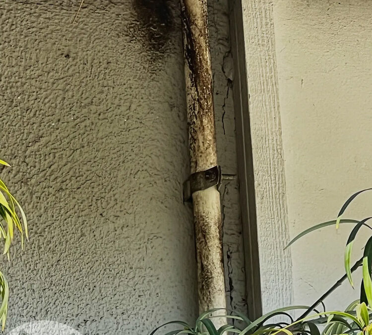 How To Locate Rat Entrance Points