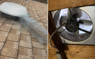Keeping Critters Out of Your Attic Fan