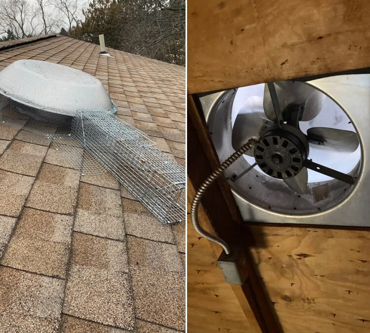 Keeping Critters Out of Your Attic Fan