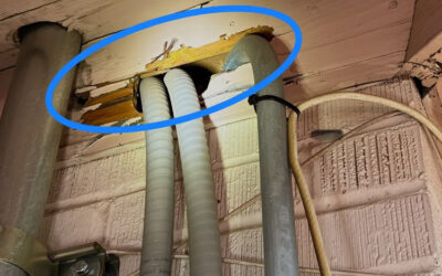 Rat Entry: Interior & Exterior Checkpoints