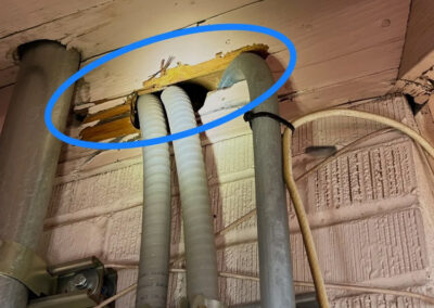 Rat-Entry-Interior-and-Exterior-Checkpoints