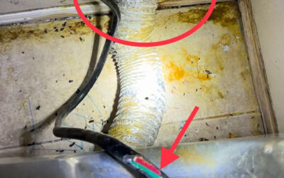 Rat-Proofing Your Phoenix Home: Plumbing and Utility Entry Points