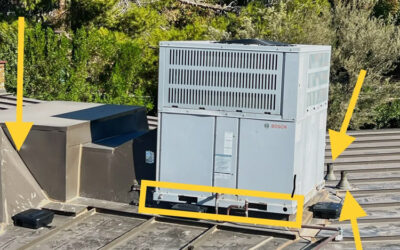 Rats & Roof Protrusions