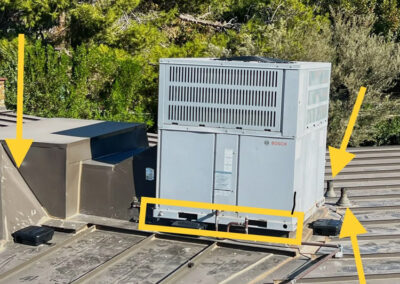 Rats-and-Roof-Protrusions