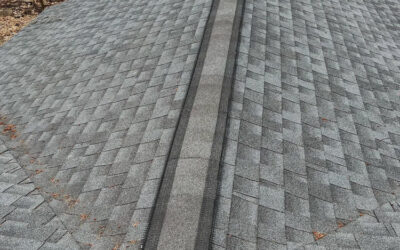 5 Common Entry Points of Rats