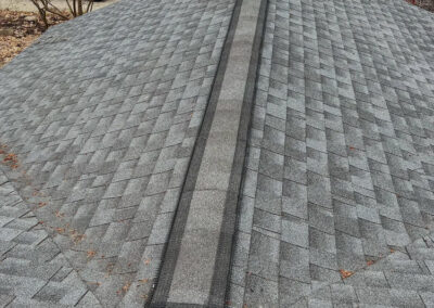 Roofing-ventilation-can-be-protected-against-wildlife