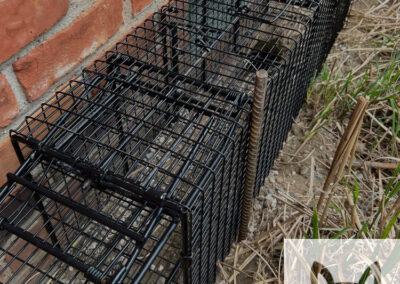 The-Ins-and-Outs-of-Groundhog-Burrows