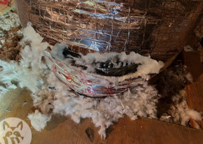 What-Are-They-Chewing-at-in-My-Attic