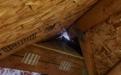 Will the Critters Leave My House on Their Own?