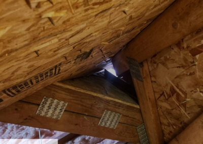 Will-the-Critters-Leave-My-House-on-Their-Own