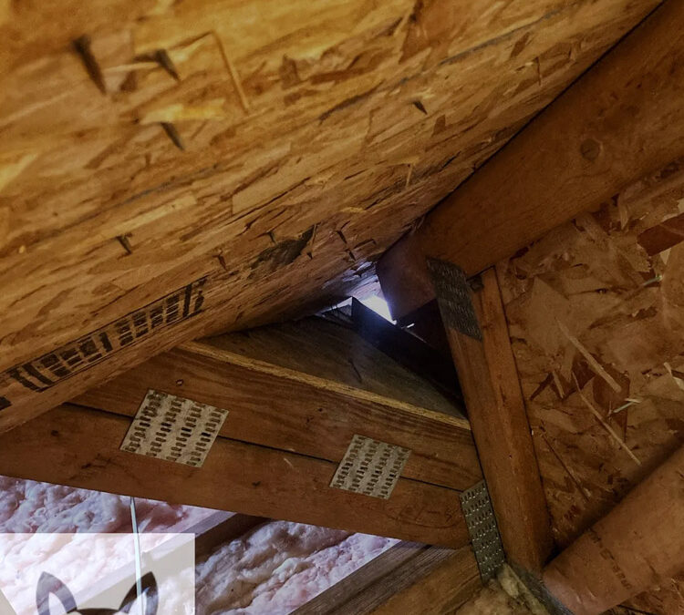 Will the Critters Leave My House on Their Own?