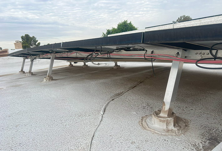 critters-and-solar-panels-underside-scottsdale-arizona-wildlife-removal-services