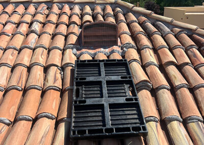 setting-up-critter-traps-on-roof