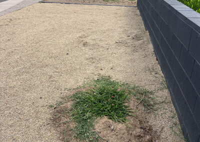 gopher-activity-mounds-in-yard-Scottsdale