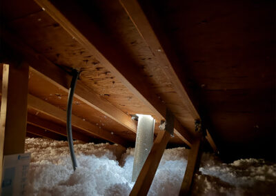 roof-fix-to-stop-wildlife-entering-a-home