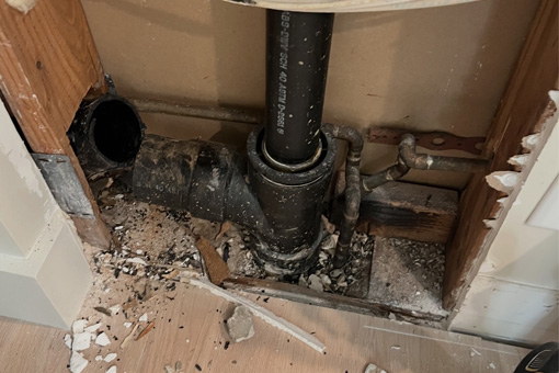 Sewer-Rat-removal-services-in-Arizona